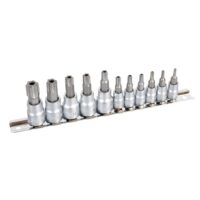 Tamperproof Torx Set 11Pce