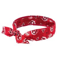 Ergodyne Chill Its Red Activated Polymer Bandana