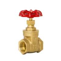 1" Brass Gate Valve
